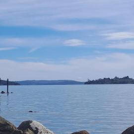 Bluebird Cottage - Waterfront, Dolphins & Stars