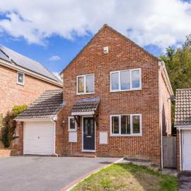 Tails and Trails - Home with numerous scenic walks nearby