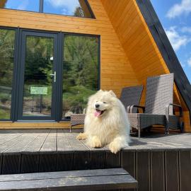Macko's Cabins - A-Frames with Hot Tub & Mountain Views, hotel din Băile Tuşnad