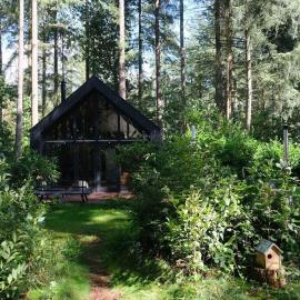 Fantastisch luxe boshuis I Onthaasten in de natuur