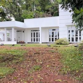 Jungle White Villa