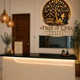 Lifora Grove Hostel and spa