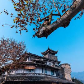 Infully Yunsu（South Bridge Yunju）