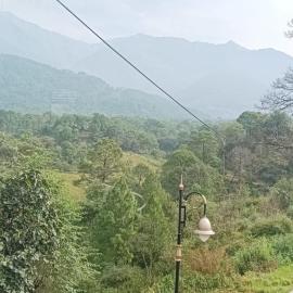 Circuit House Palampur# Best Hotel with Mountain view # Free Parking #Room with Balcony