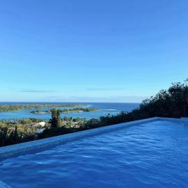 Golden Palm Apartment with overlooking view