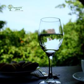 The Thick Forest, hotel a Sigiriya