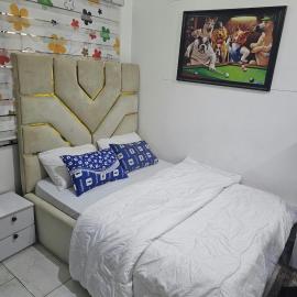 Luxury Guest Room & Parlour with Solar-Inverter Backup