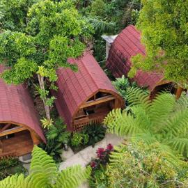 Coffee Homestay Tetebatu B26