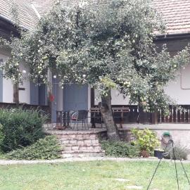 Big, central house in Nagymaros