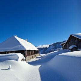 Studio des Lys 20 m2 Praz de Lys centre au calme