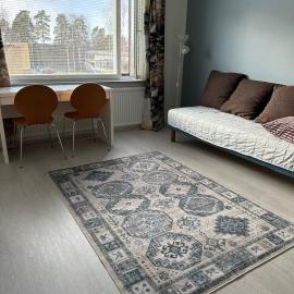 One-bedroom apartment close to amenities