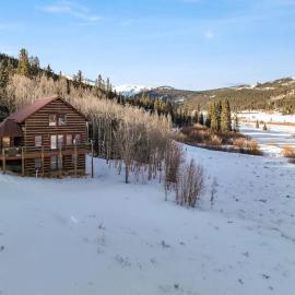 Alma Cabin 30 Mins to Breckenridge - Hot Tub - Game Room - Workstation - Starlink WiFi