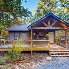 Cozy Cabin in the Trees
