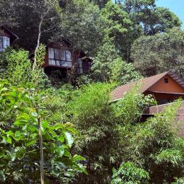 Tree6poolvilla, hotell i Vythiri