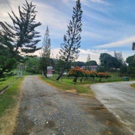 South Pines Economy Inn，Malita的飯店