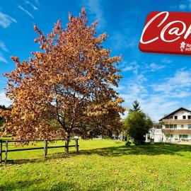 Viesnīca Landhotel Tanneneck - ideal für Gruppen, Familien und Hunde pilsētā Lefingene