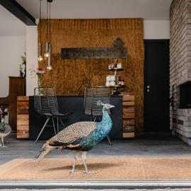 Hey Spreewald Ferienapartments, hotel a Lübben