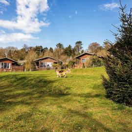 Rudyard Lake Lodges