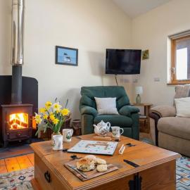 Robins Perch Eco Lodge Apartment Lampeter