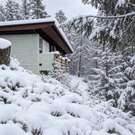 Ca'Mugo, a chalet in the magic woods, near Cortina, hotel a Borca di Cadore