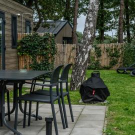 Luxe Boshuisje in Haarle met Sauna - Rust & Natuur