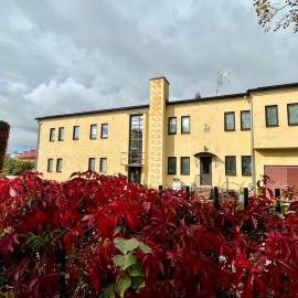 Boutique Hotelli Maakunta, хотел в Форса