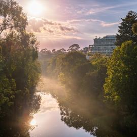 Acacia - Riverside Wellness - Nature meets City