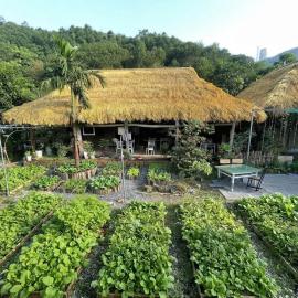 Bee Lucky Homestay Cát Bà