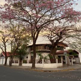 Casa Todah B&B, hotell i Liberia