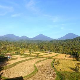 Bali Harmoni Munduk – hotel w mieście Gobleg