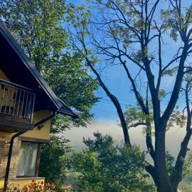 Pensiunea Casa Fierarul din Bucovina