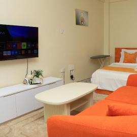 Mt Kilimanjaro view studio apartment in Kimana