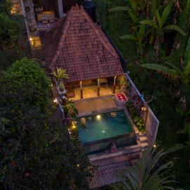 Umah Rimba