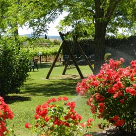 Agriturismo Fusini