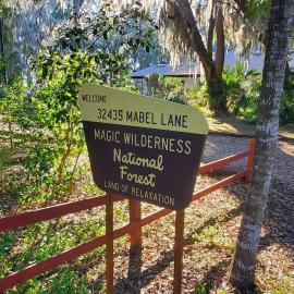 Lakefront Magic Wilderness Cabin