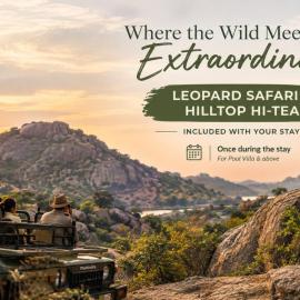 Sterling Leopard Haven Jawai