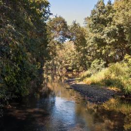 Private Creek Swimming Hole & Fire Pit