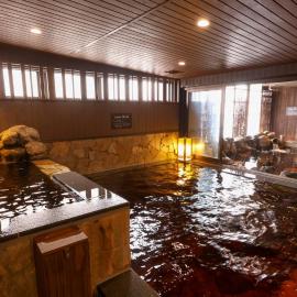 Dormy Inn Toyama Natural Hot Spring, ξενοδοχείο σε Τογιάμα