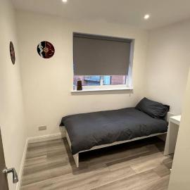 Cozy, Renovated Apartment Room in Historic Croydon Old Town