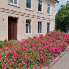 Historisches Stadthaus Schwentine