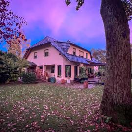 The House – Stiller Grund