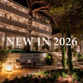 The Bristol Bol - NEW IN 2026