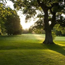 Country House in Portarlington