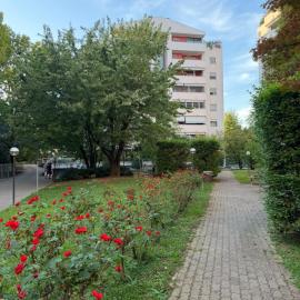 Bellappartamentino A 8 minuti a piedi da Humanitas, vicino IEO e Forum di Assago, collegato da mezzi pubblici a Milano Centro, Hotel in Pieve Emanuele