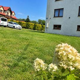 Apartament Stokrotka