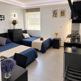 A03 Suite MAX BLACK con COCINA Terraza Perfecta para Familias Compañías Equipos de Trabajo, hotel di Cuautitlán Izcalli