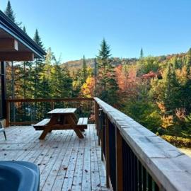 Luxe Mountain Escape - Hot Tub - Fireplace - Cozy