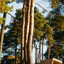 Tiny Houses mit Kamin & Hyggelige Schwedenhäuser mit Seeblick