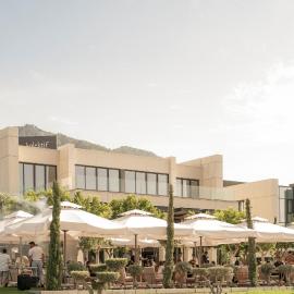 kolektif suites