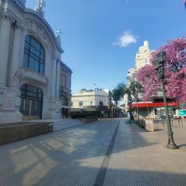 Paseo del Teatro - Peatonal San Martin - Seguridad Privada 24hs